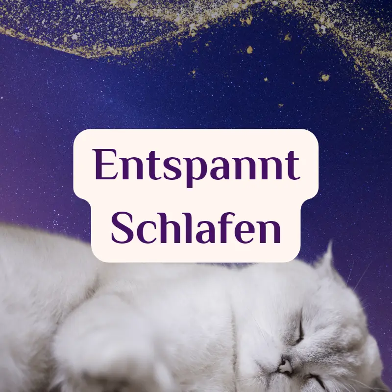Einschlafmeditationen