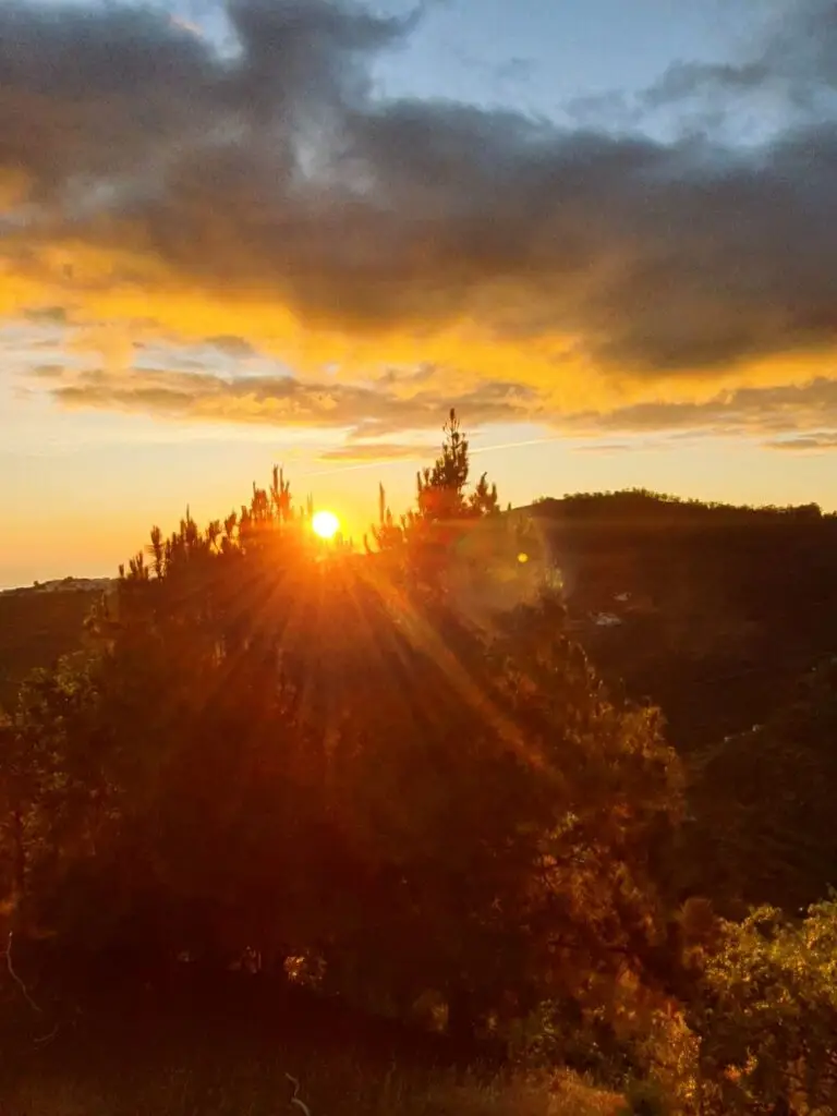 Seminar Gran Canaria